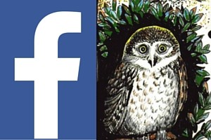 FACEBOOK icon for re-wild yourselg nature connection retreats and events