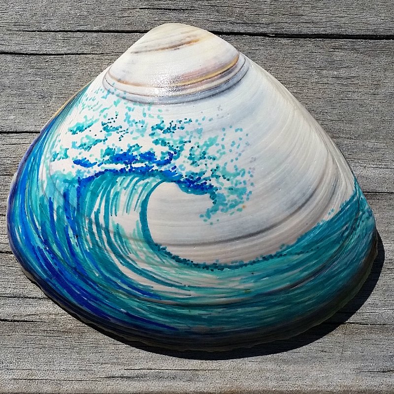 shell wave icon